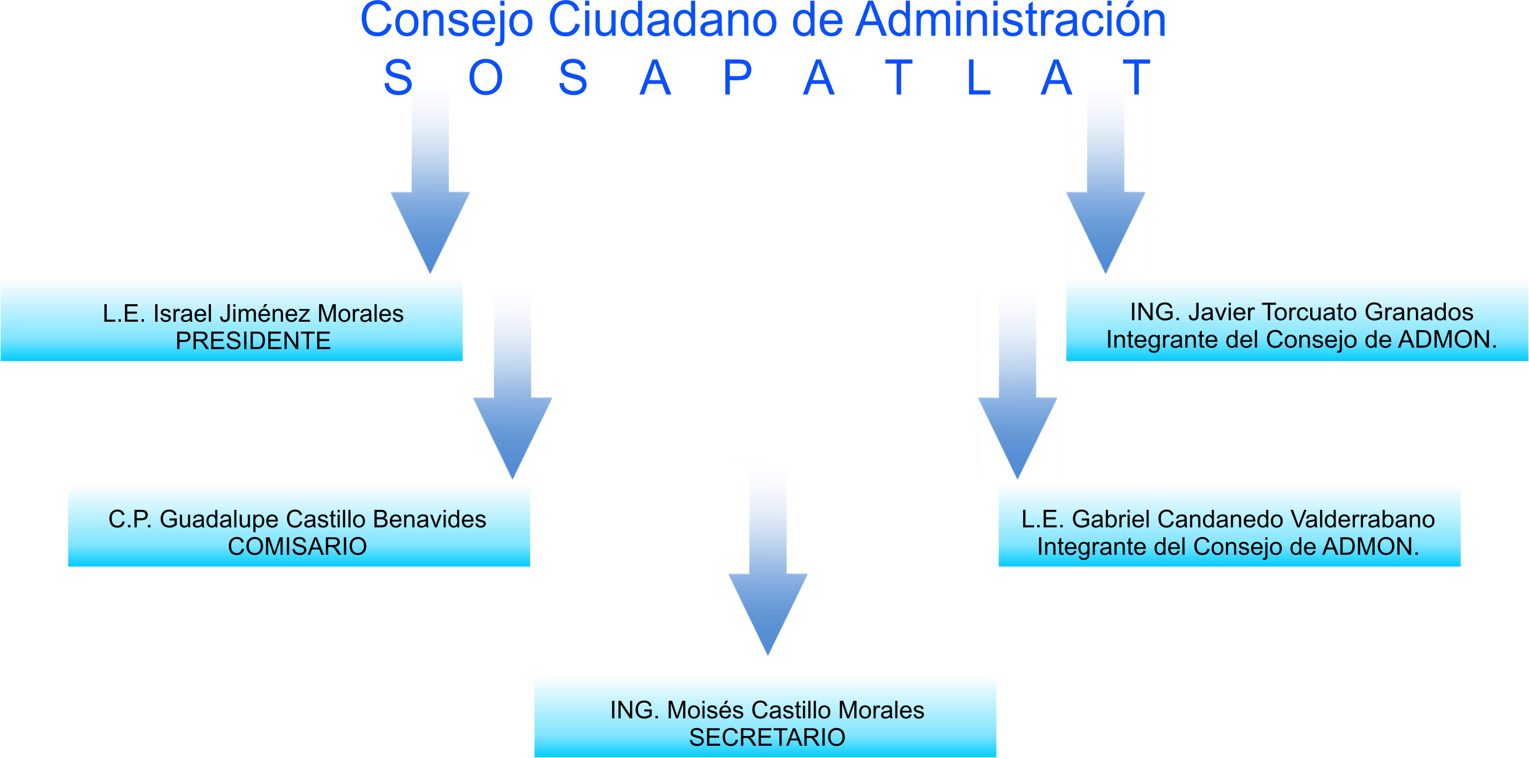 Estructura Orgánica